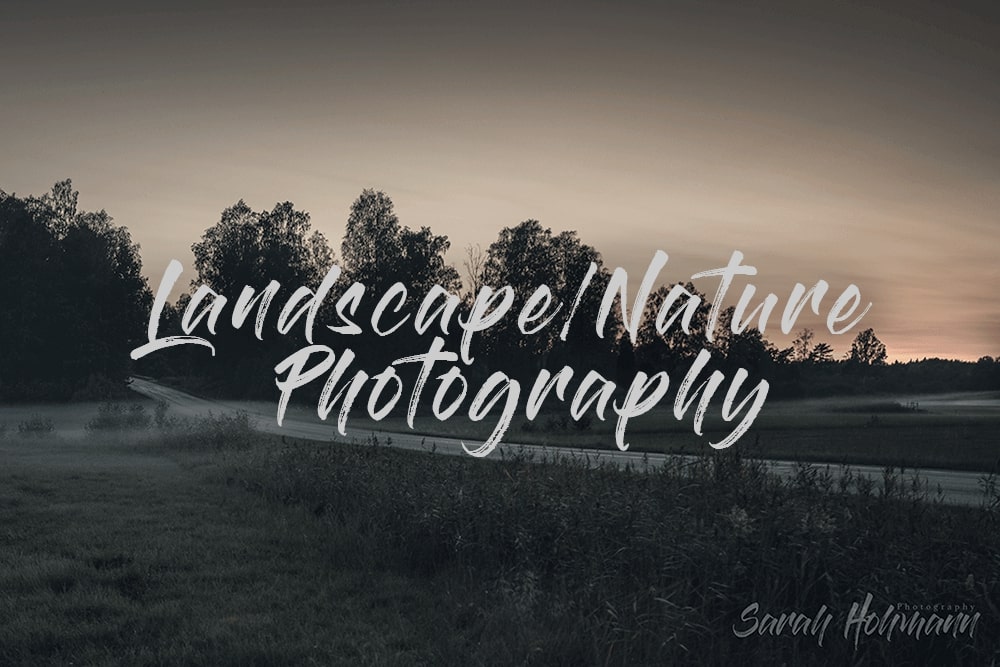 title image for the category Landscape and Nature Photography, displaying an open field with beautiful autumn fog in the outskirts of Stockholm County in Sweden