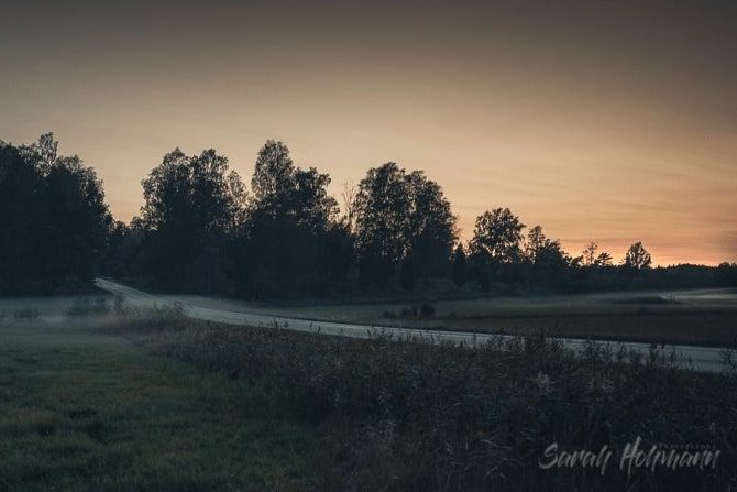 Panorama of a foggy field at sunset