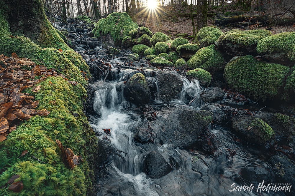 Small waterfall in southern Sweden with a sun star and a mossy green foreground