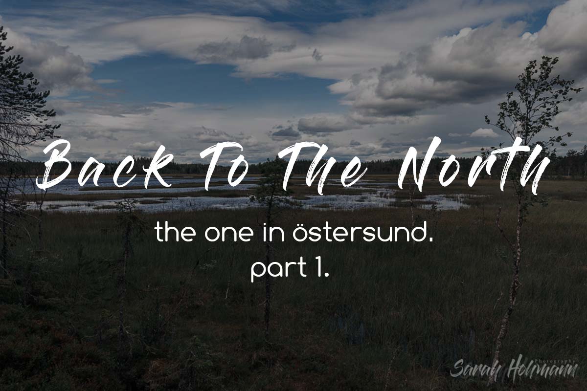 Featured Image for the blog series Back to the North in Östersund