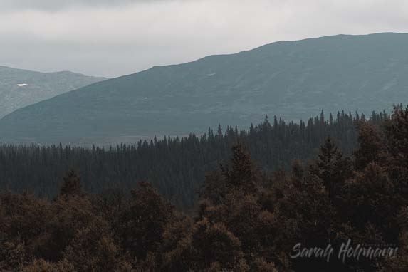 Mountains in the Vålådalen Nature Reserve in Jämtland in Sweden